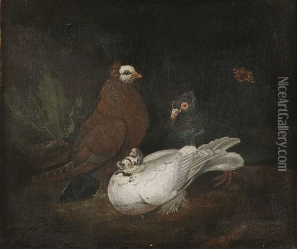 Kauernde Tauben Mit Einem Nachtpfauenauge Oil Painting - Philipp Ferdinand de Hamilton