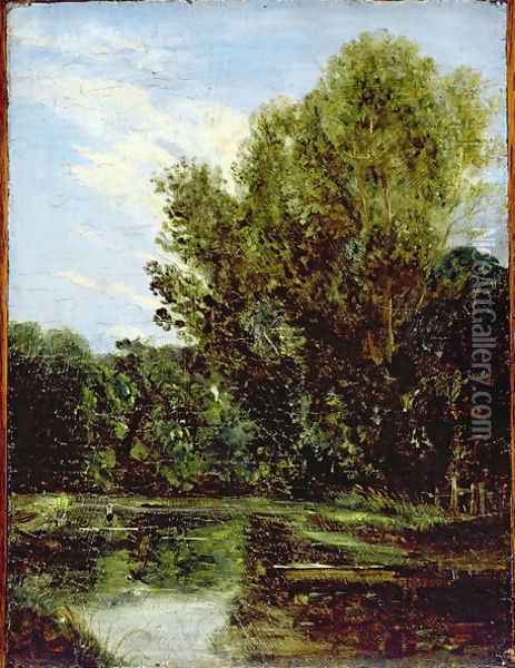 Corner of Hampstead Ponds Oil Painting - John Constable