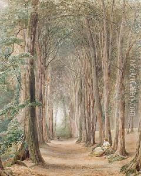 A Lady Reading In The Woods Oil Painting - Ebenezer Wake Cook