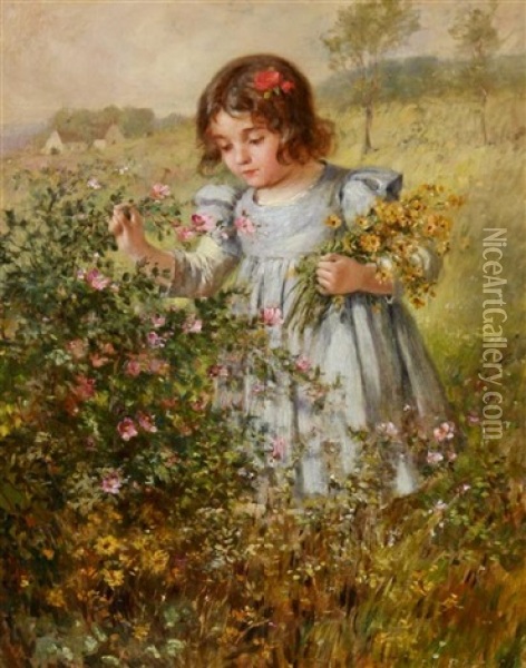 Picking Wild Flowers Oil Painting - Frederick James Boston