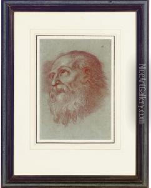 Head Of A Bearded Man Oil Painting - Agostino Carracci