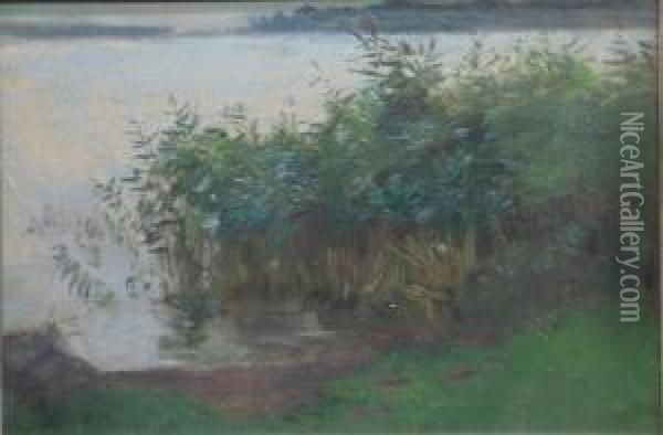 Uferlandschaft Amchiemsee Oil Painting - Karl Raupp