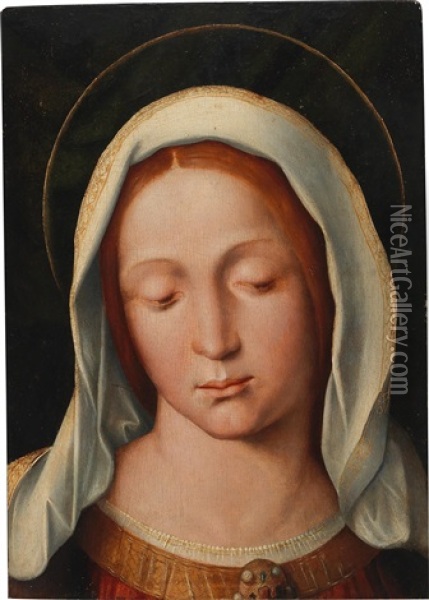 Madonna Oil Painting - Giovanni Francesco Caroto