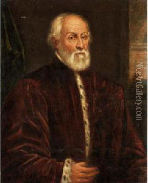 Portrait Of A Gentleman, Half Length, Wearing The Robes Of A Venetian Senator Oil Painting - Domenico Tintoretto