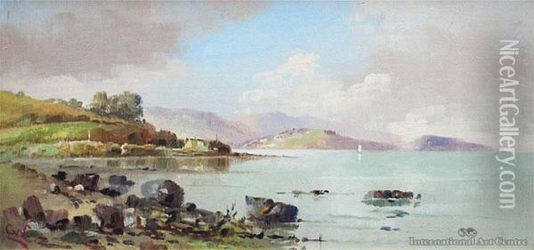Near St Leonards, Otago Oil Painting - George William Carrington