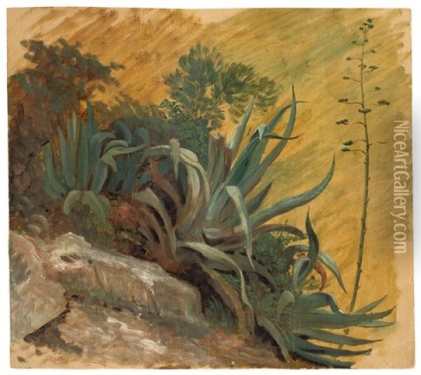 Agaves In Tivoli Oil Painting - Heinrich Otto