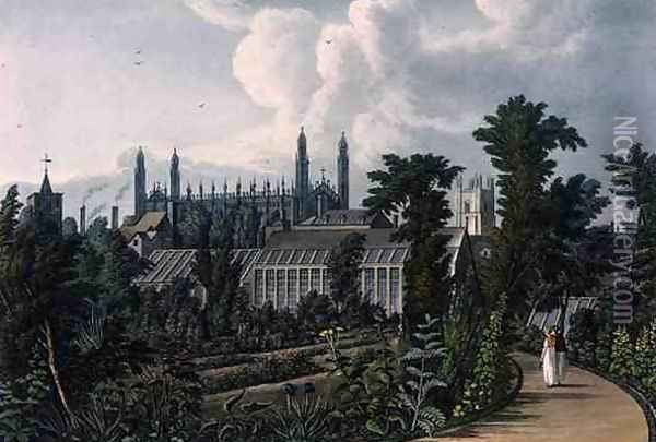 The Botanical Gardens, Cambridge, from The History of Cambridge, engraved by Joseph Constantine Stadler (fl.1780-1812), pub. by R. Ackermann, 1815 Oil Painting - William Westall