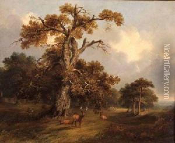Deer In Kimberley Park Oil Painting - Alfred Priest
