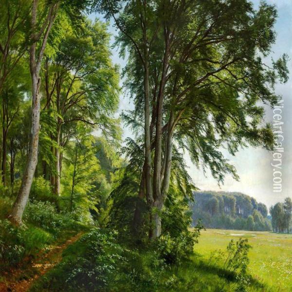 Junimorgen I Udkanten Af Saebygaards Skov Oil Painting - Christian Zacho