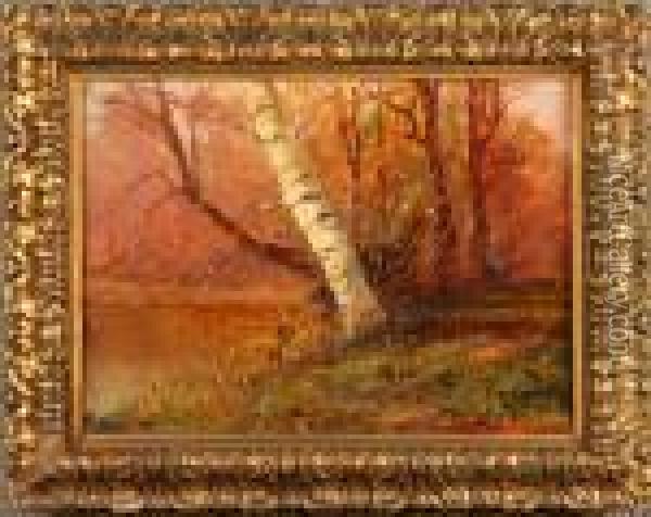 ''alberi Sul Torrente''. Oil Painting - Leonardo Roda