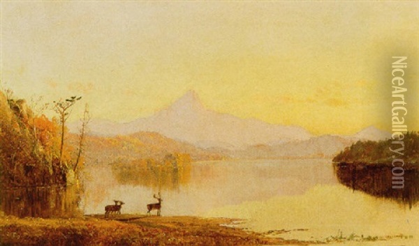 Lake Near Mount Chocura Oil Painting - Jasper Francis Cropsey