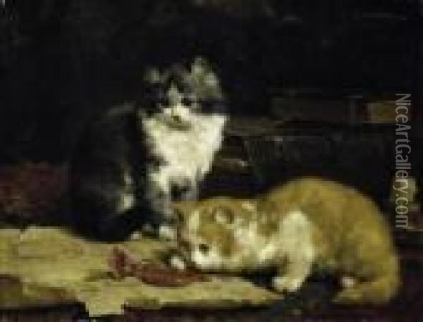 Playing Kittens Oil Painting - Charles van den Eycken