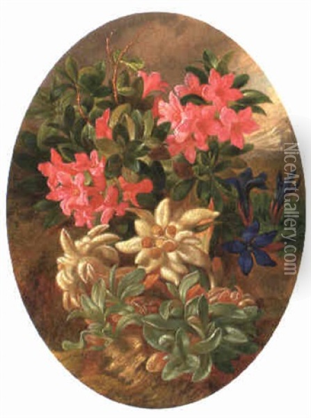Edelweis, Enzian Und Alpenrose Oil Painting - Josef Schuster