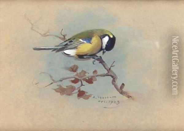 Great Tit Oil Painting - Archibald Thorburn