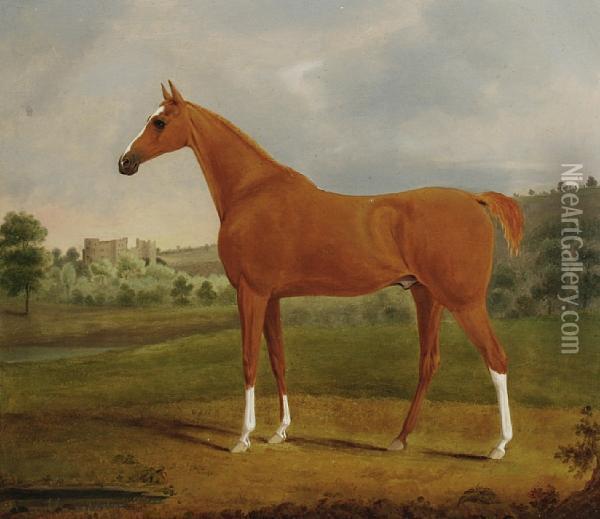 Chestnut Hunter In The Grounds Of A Castle Oil Painting - William Gwynn