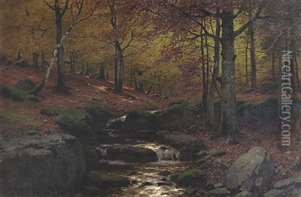 Stream In The Forest Oil Painting - Konrad Alexander Mueller-Kurzwelly