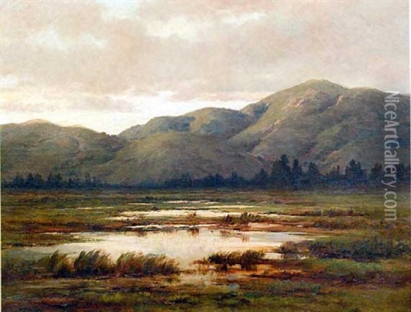 Mountain Landscape With Foreground Marsh Oil Painting - William Franklin Jackson