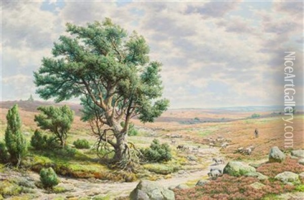 Sheep Grazing On Heathland Oil Painting - Hermann De Bruycker