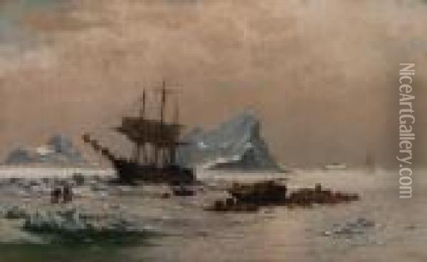 Among The Ice Floes Oil Painting - William Bradford