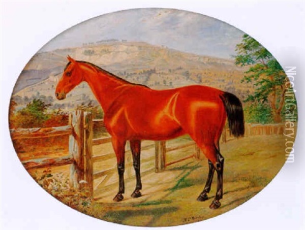 A Chestnut Hunter Standing By A Gate Oil Painting - Benjamin Cam Norton