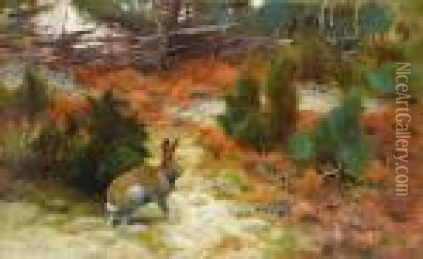 Autumn Landscape With Hare Oil Painting - Bruno Andreas Liljefors