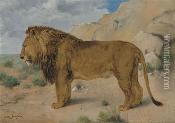 Study Of A Lion Oil Painting - Rosa Bonheur