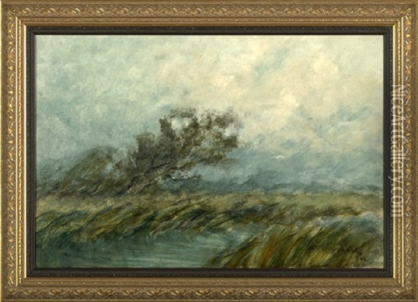 Wind Storm On The Bayou Oil Painting - Alexander John Drysdale