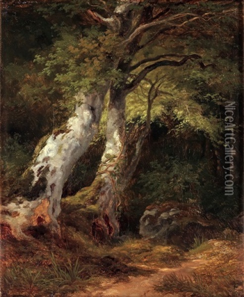 Skogslandskap Oil Painting - Edward (Johan-Edvard) Bergh