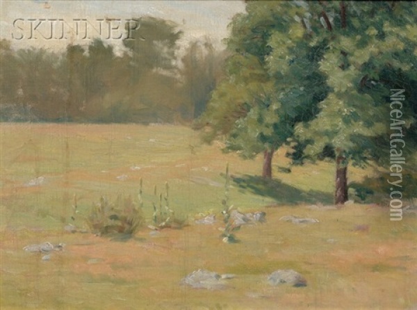 Summer Pasture Oil Painting - Charles Henry Hayden