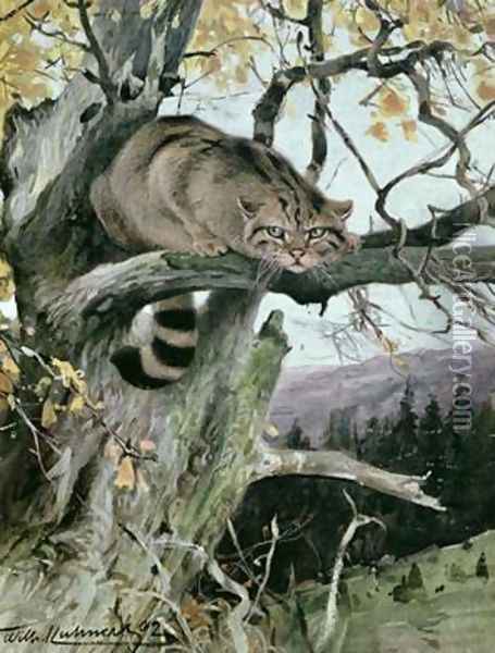 Wildcat in a Tree Oil Painting - Wilhelm Kuhnert
