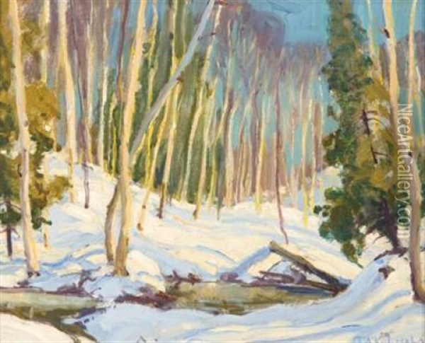Sunlit Winter Day Oil Painting - George Arthur Kulmala