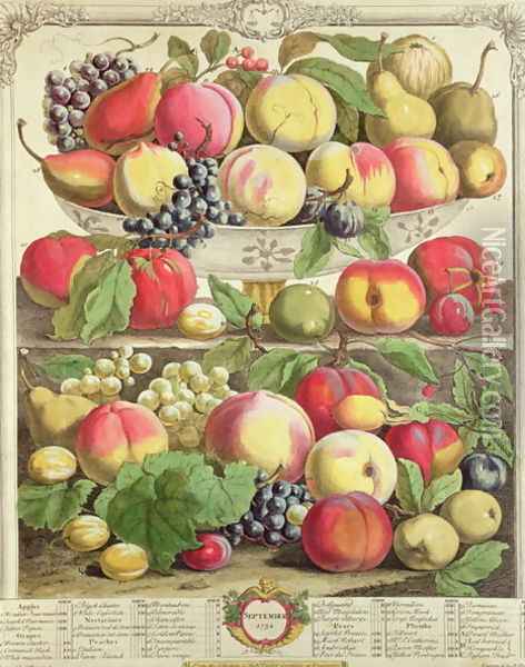 September, from 'Twelve Months of Fruits' Oil Painting - Pieter Casteels