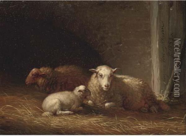 Sheep In A Barn Oil Painting - Eugene Joseph Verboeckhoven