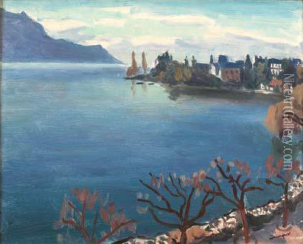 Le Lac Leman A Montreux Oil Painting - Albert Marquet