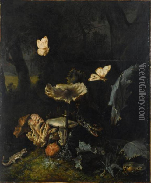 A Forest Floor Still Life With 
Various Fungi, Thistles, An Aspic Viper, A Sand Lizard, A Snail, A Tree 
Frog And Two Moths Oil Painting - Otto Marseus Snuff. Van Schrieck