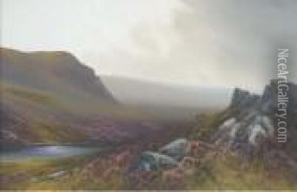 Rain Clearing, Belstone Moors, Dartmoor (illustrated); And Cawsandbeacon, Dartmoor Oil Painting - Daniel Sherrin