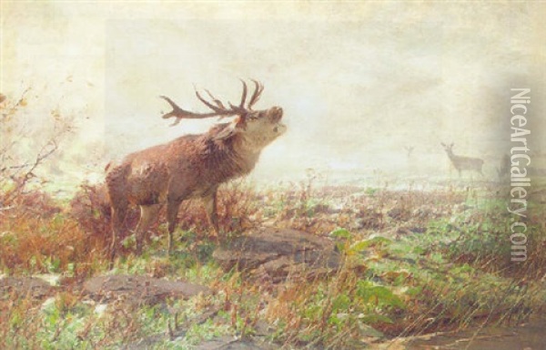 A Rutting Stag Oil Painting - Christian (Johann Christian) Kroener