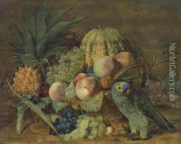 Still Life Withfruit And A Parrot From The Amazon Oil Painting - Ferdinand Georg Waldmuller