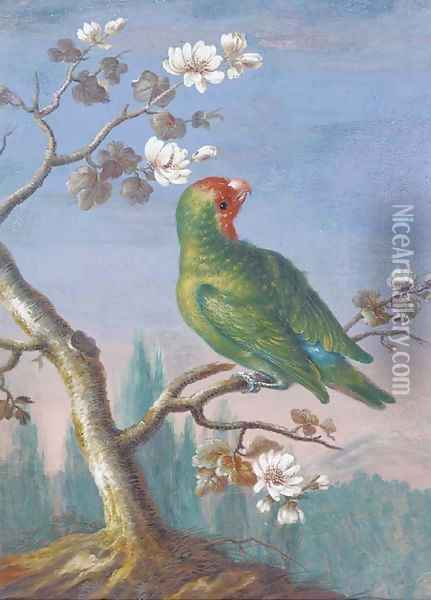 A Red Fronted Parakeet Oil Painting - Christoph Ludwig Agricola