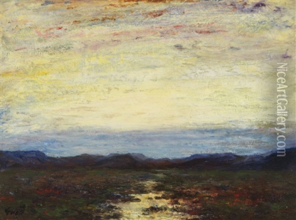 Sonnenuntergang Uber Weiter Landschaft Oil Painting - Albert Lorey Groll