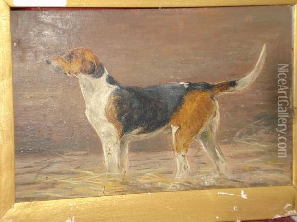 'trouncer' - A Foxhound In A Kennel,sketch Oil Painting - Thomas Henry Gibb