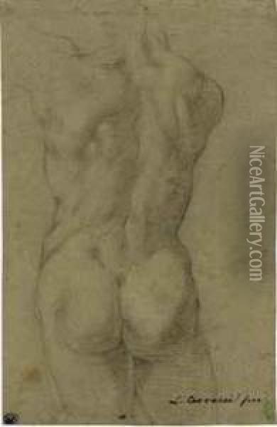 The Torso Of A Male Nude, Seen From Behind Oil Painting - Lodovico Carracci