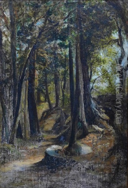 Interier Lesa Oil Painting - Julius Eduard Marak
