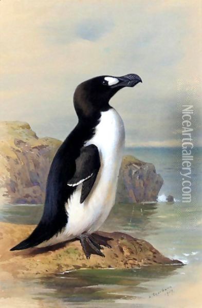 The Great Auk Oil Painting - Archibald Thorburn
