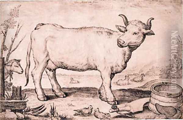 A Cow Oil Painting - Jacob Matham