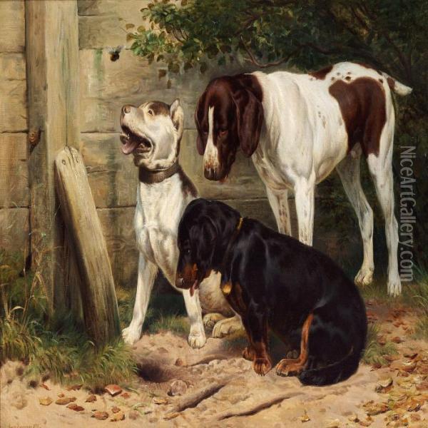Three Dogs Looking At A Bumble Bee Oil Painting - Simon Simonson