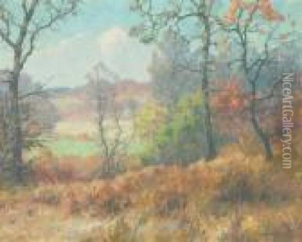 Maples In Autumn Oil Painting - Maurice Braun