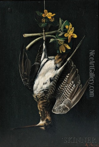 Hanging Snipe With Yellow Blossoms Oil Painting - Alexander Pope