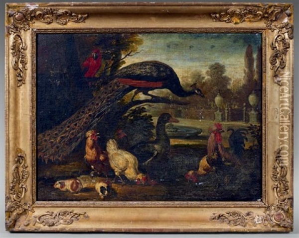 Poules, Paon, Perroquet Et Cochons D'inde Oil Painting - Pieter Casteels III