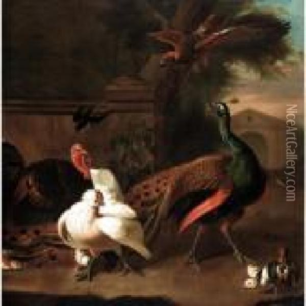 A Peacock With A Turkey, Hen And
 Chicks And A Swallow Startled By A Bird Of Prey In An Ornamental Garden Oil Painting - Melchior de Hondecoeter